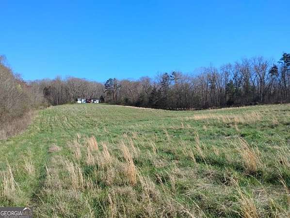 15 Acres of Land with Home for Sale in Carnesville, Georgia