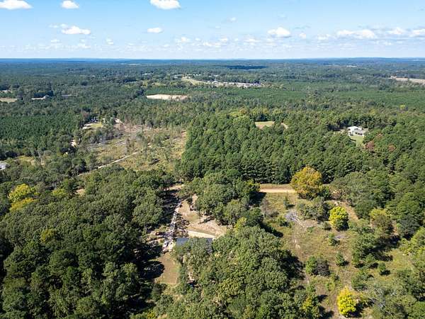 20 Acres of Recreational & Residential Land for Sale in Harleton, Texas