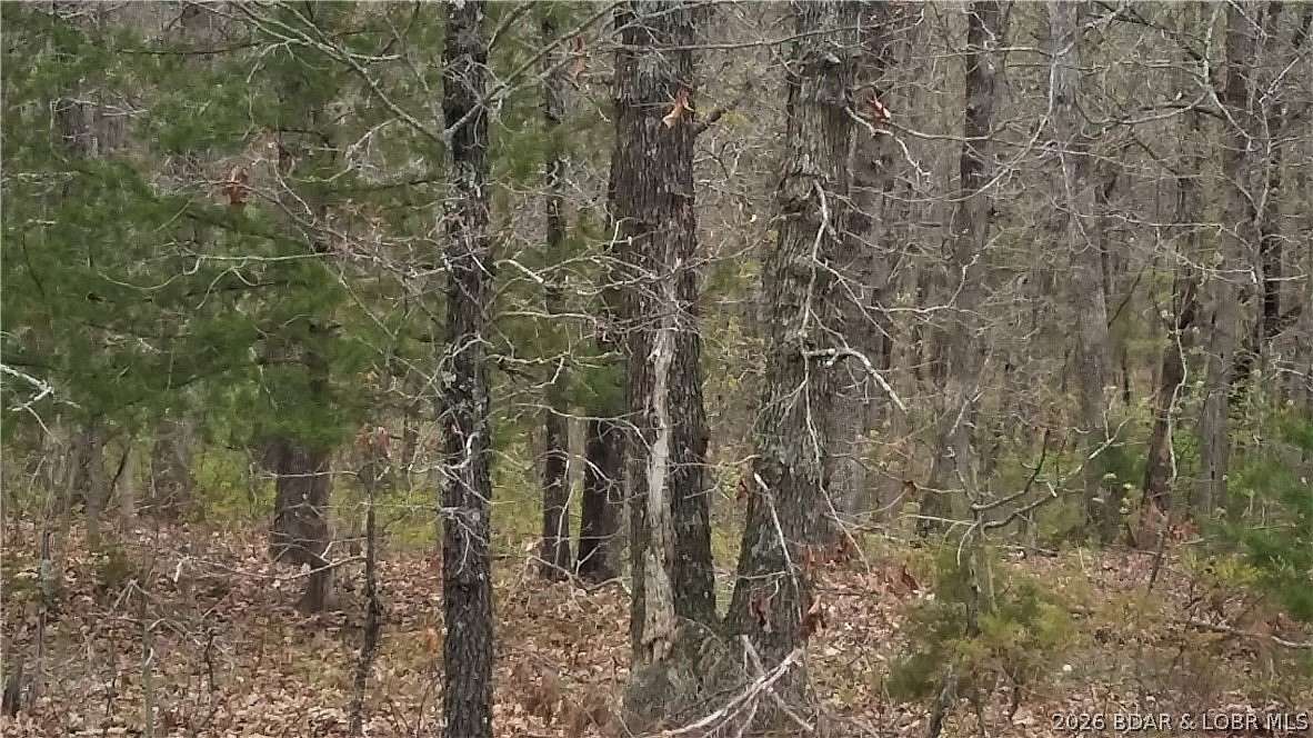 7.9 Acres of Land for Sale in Versailles, Missouri