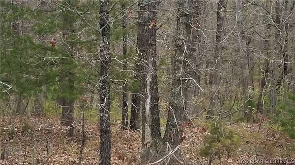 7.9 Acres of Land for Sale in Versailles, Missouri