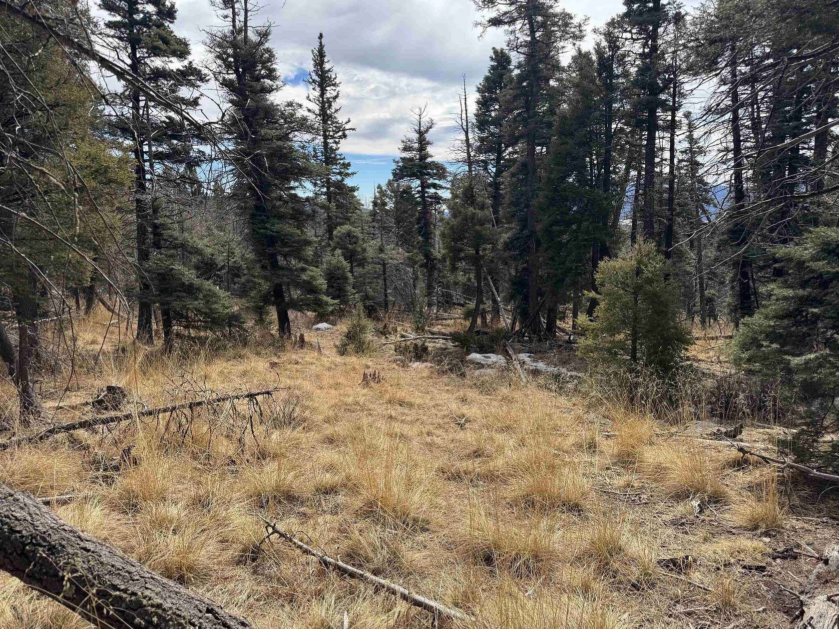 0.86 Acres of Residential Land for Sale in Angel Fire, New Mexico