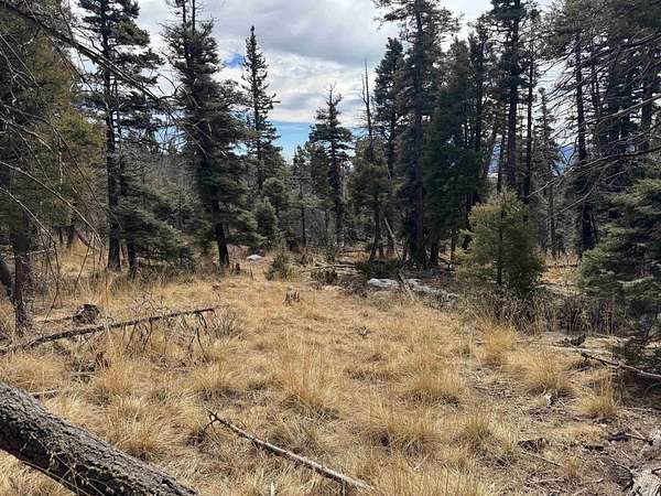 0.86 Acres of Residential Land for Sale in Angel Fire, New Mexico