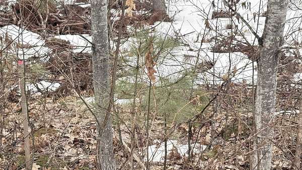 1 Acre of Residential Land for Sale in Harrison, Michigan