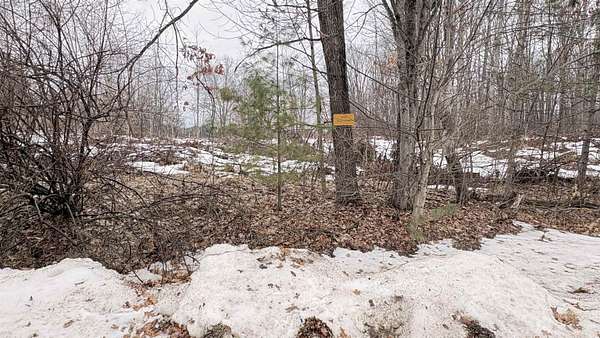 1 Acre of Residential Land for Sale in Harrison, Michigan