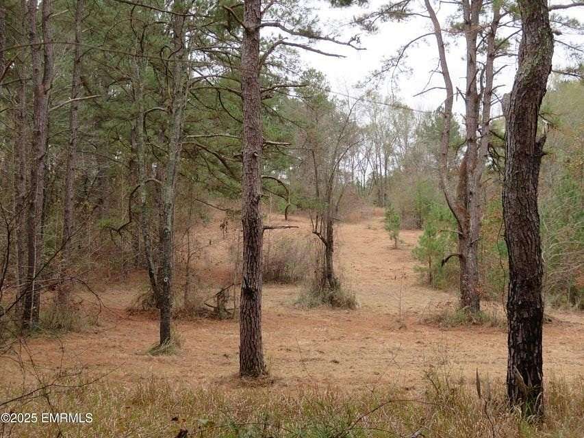 54.5 Acres of Recreational Land for Sale in Heidelberg, Mississippi