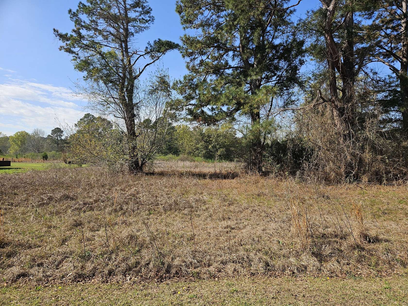 0.52 Acres of Residential Land for Sale in Summerton, South Carolina