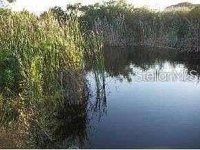 0.23 Acres of Residential Land for Sale in Cape Coral, Florida