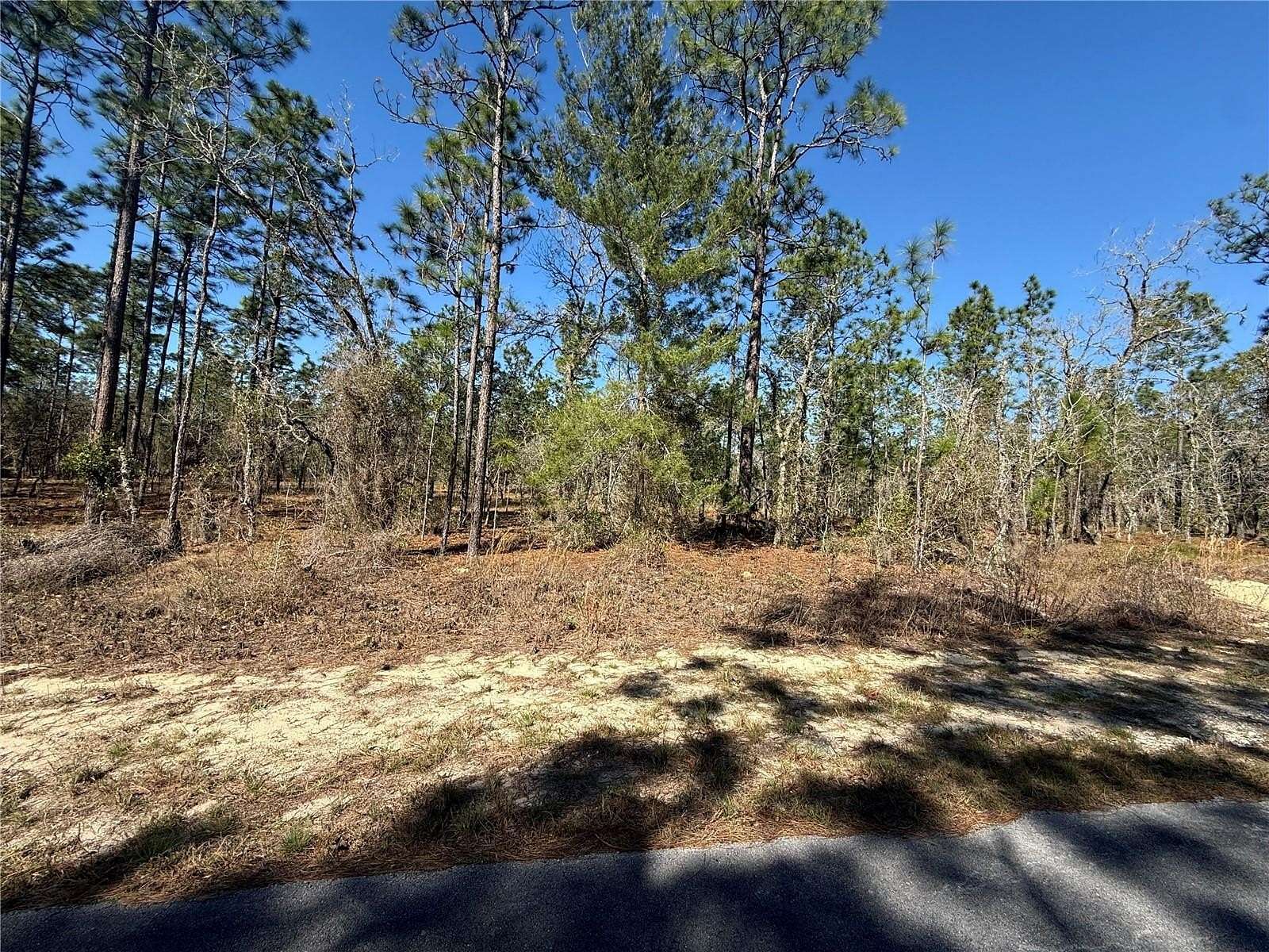1 Acre of Residential Land for Sale in Dunnellon, Florida