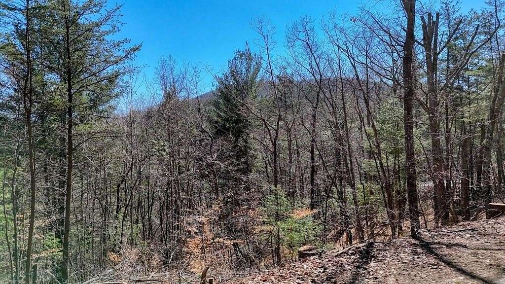 1.15 Acres of Land for Sale in Blairsville, Georgia