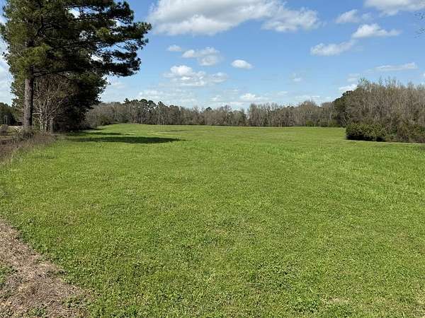 139 Acres of Agricultural & Residential Land for Sale in Elba, Alabama