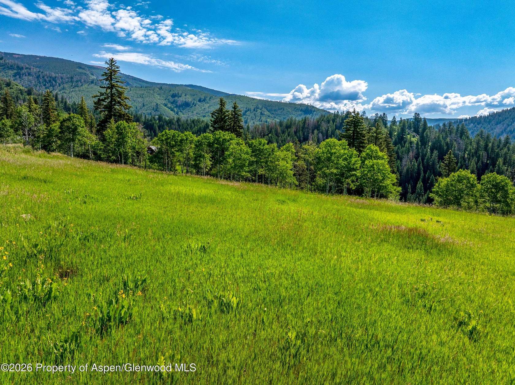 1.14 Acres of Residential Land for Sale in Basalt, Colorado