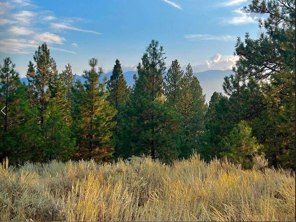 0.57 Acres of Land for Sale in Cascade, Idaho
