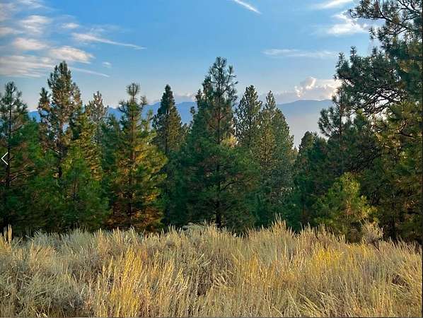 0.57 Acres of Land for Sale in Cascade, Idaho