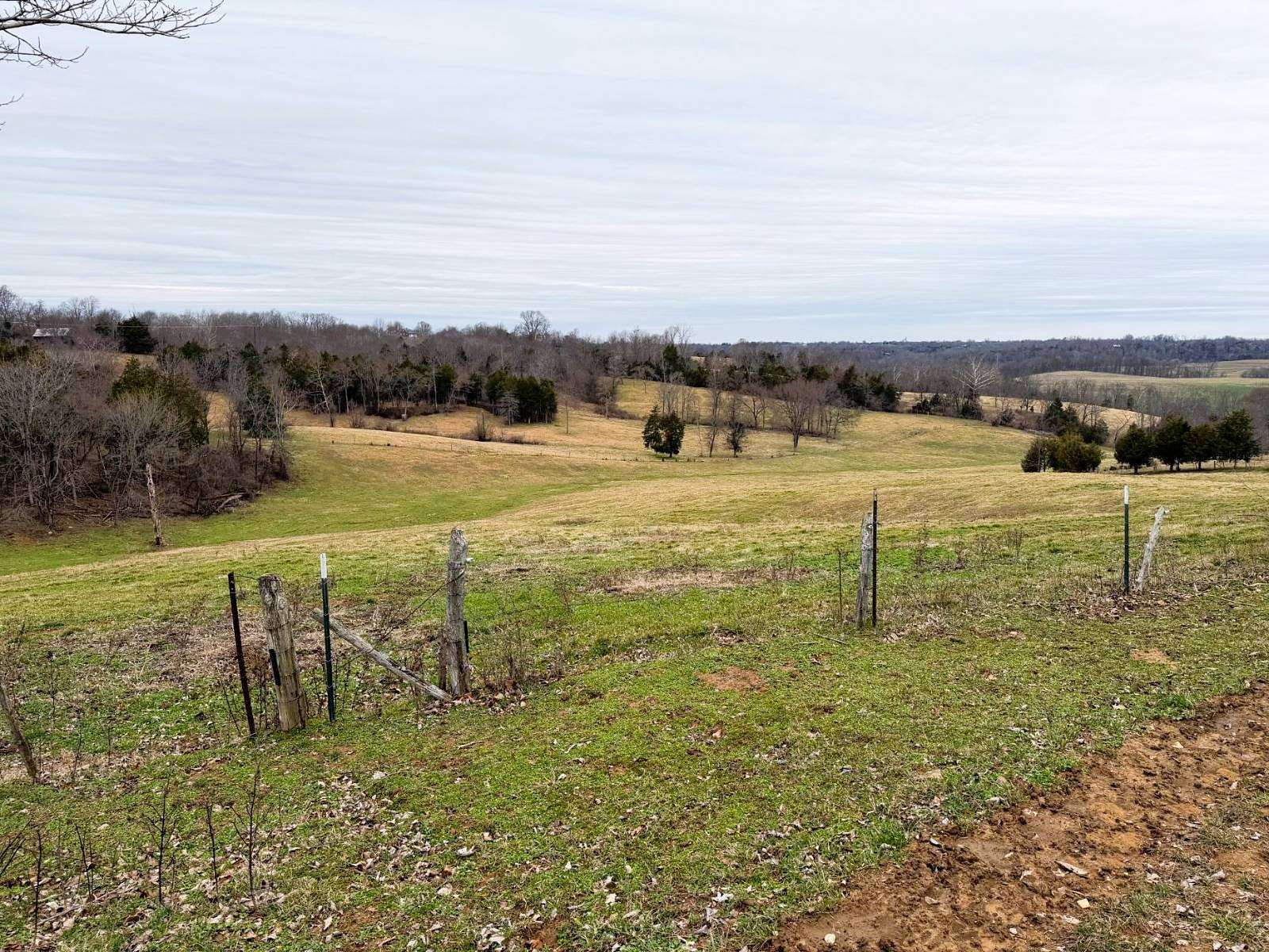 21.4 Acres of Agricultural & Residential Land for Auction in Greensburg, Kentucky