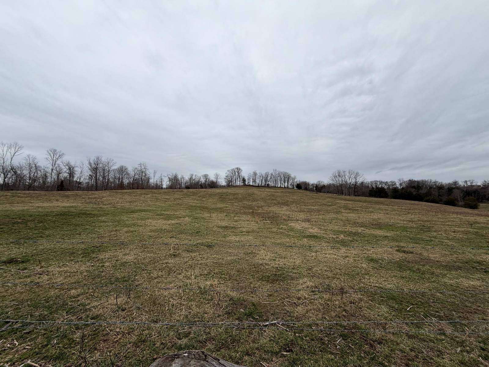 57 Acres of Agricultural & Residential Land for Auction in Greensburg, Kentucky