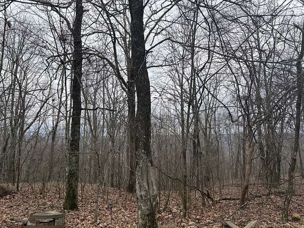 4.33 Acres of Residential Land for Sale in Sewanee, Tennessee