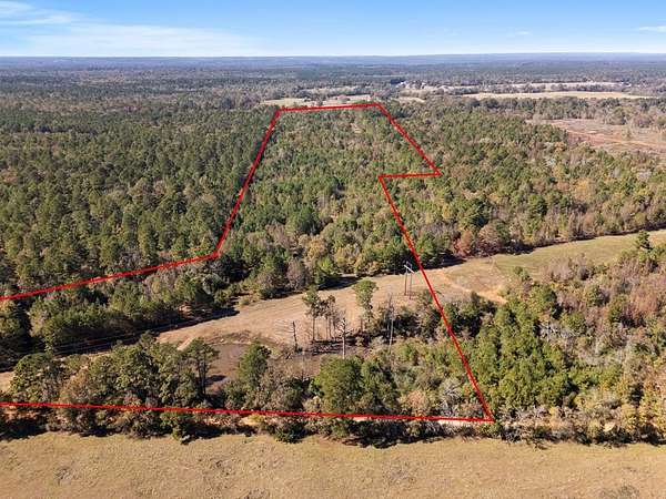 61 Acres of Recreational & Residential Land for Sale in Cushing, Texas