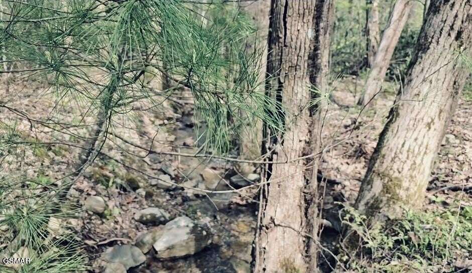 10.7 Acres of Land for Sale in Sevierville, Tennessee