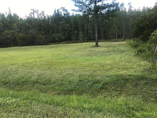 1 Acre of Residential Land for Sale in Wesley Chapel, Florida