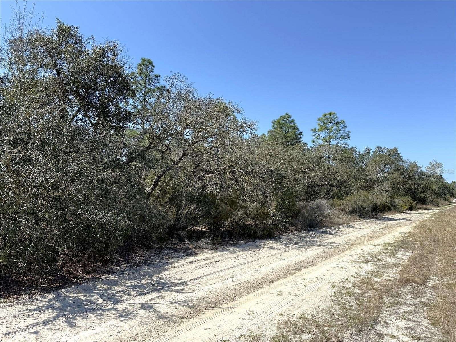 0.23 Acres of Residential Land for Sale in Williston, Florida