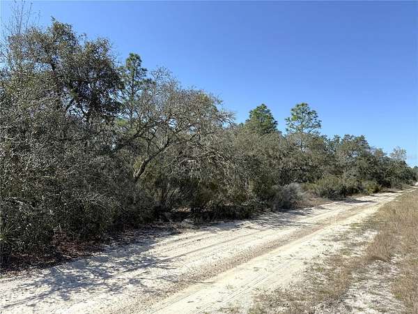 0.23 Acres of Residential Land for Sale in Williston, Florida