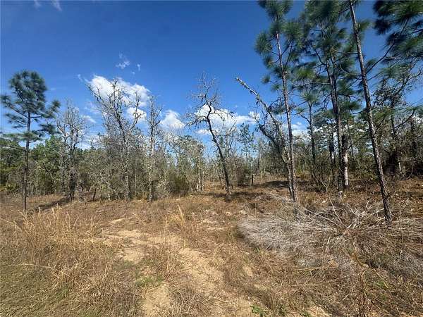 0.23 Acres of Land for Sale in Williston, Florida