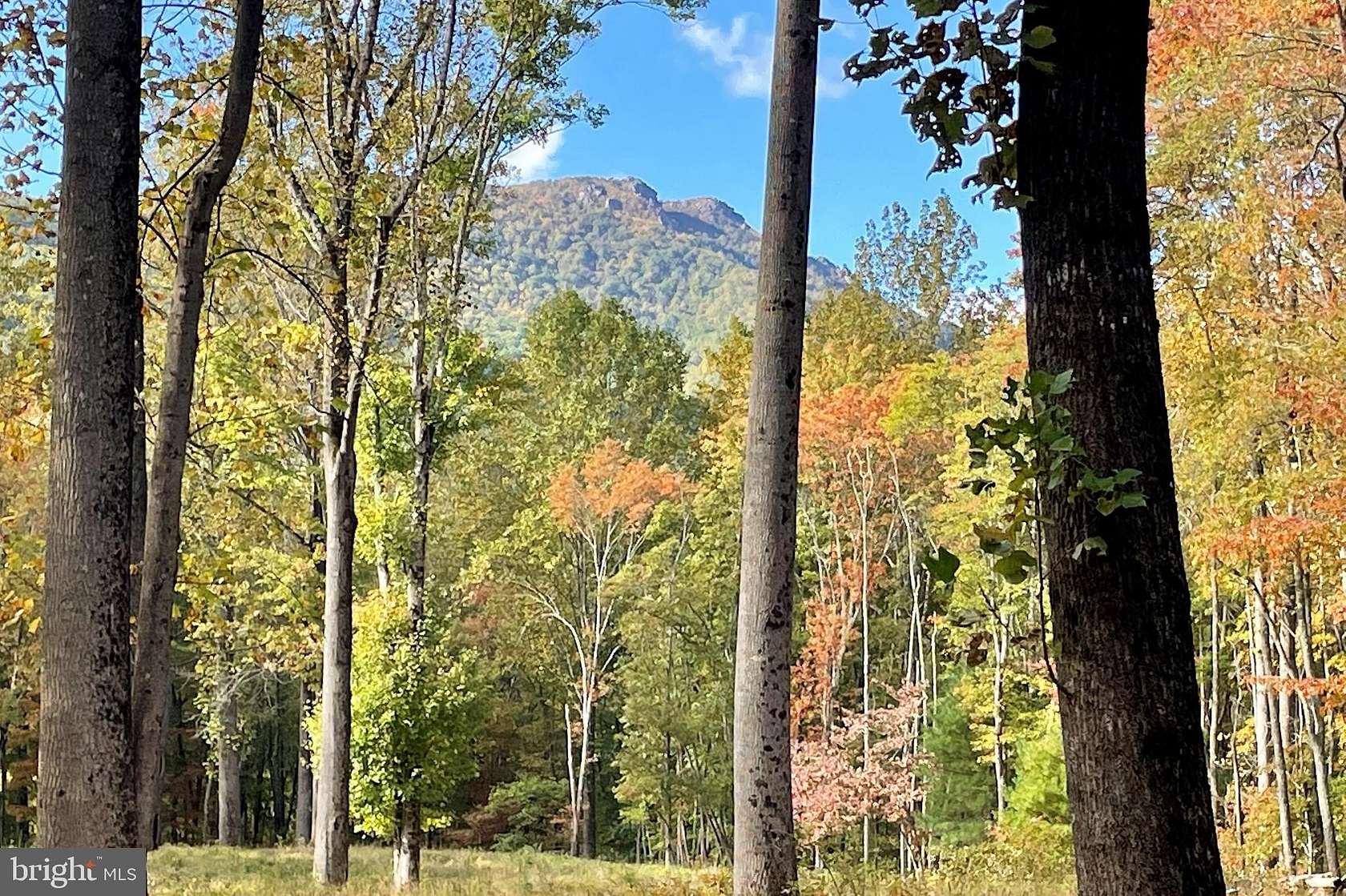 8 Acres of Residential Land for Sale in Sperryville, Virginia