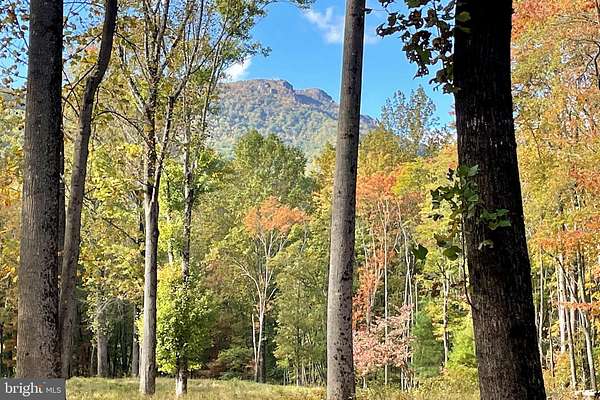 8 Acres of Residential Land for Sale in Sperryville, Virginia