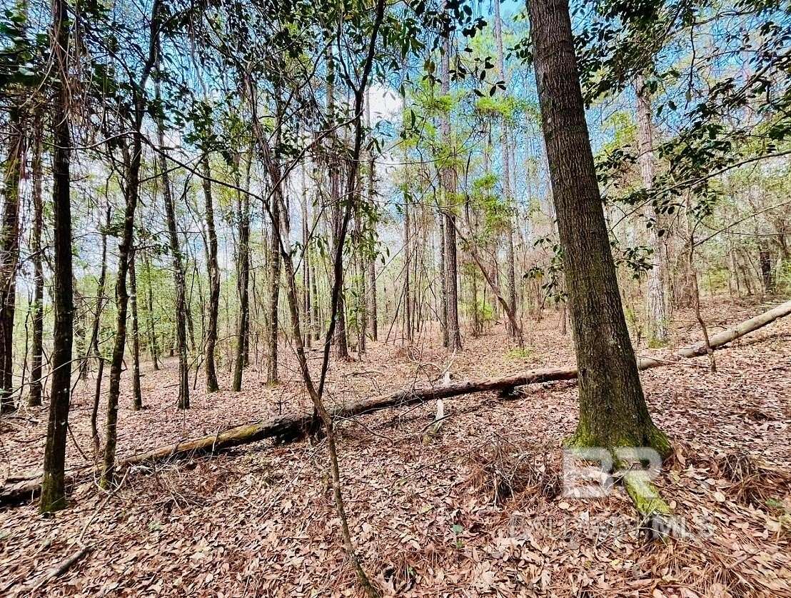 3 Acres of Land for Sale in Bay Minette, Alabama