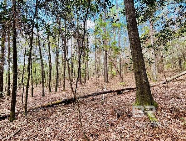 3 Acres of Land for Sale in Bay Minette, Alabama
