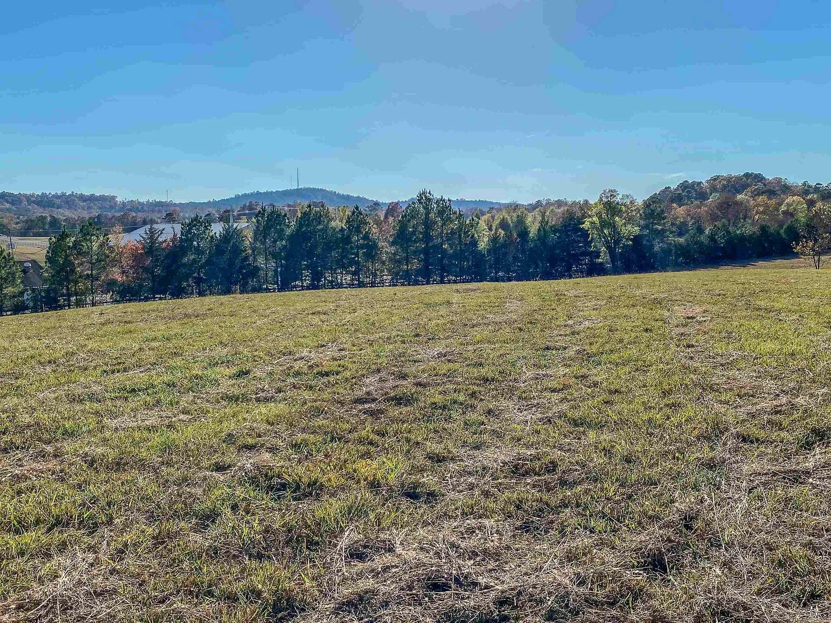 10.6 Acres of Land for Sale in Royal, Arkansas