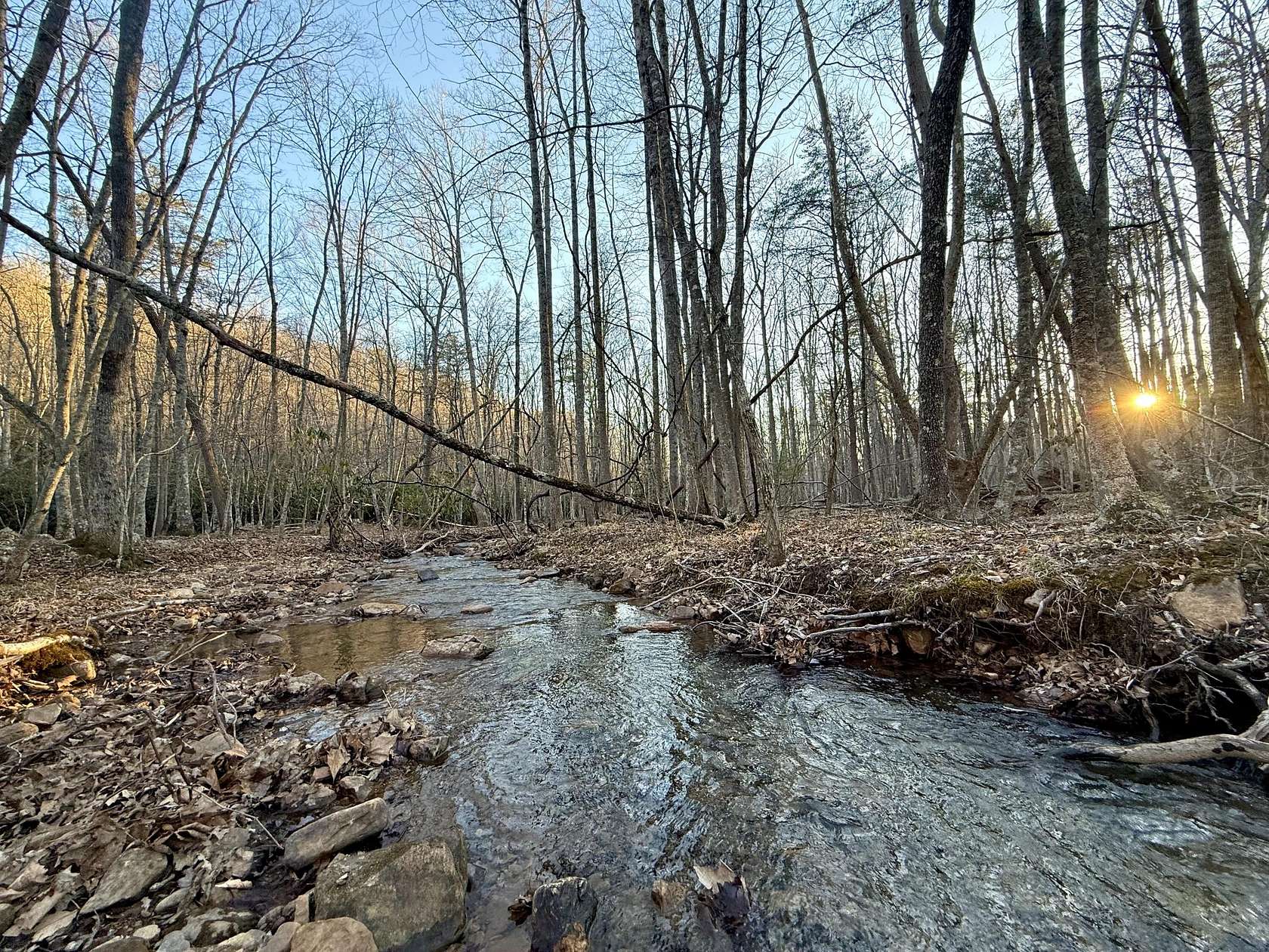 29.5 Acres of Land for Sale in New Castle, Virginia