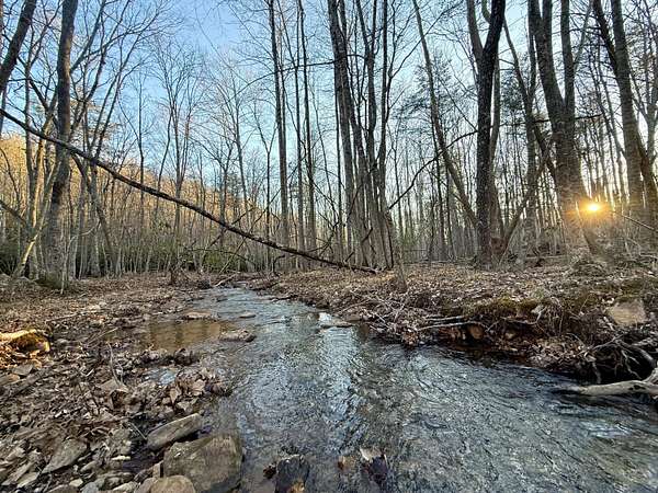 29.5 Acres of Land for Sale in New Castle, Virginia