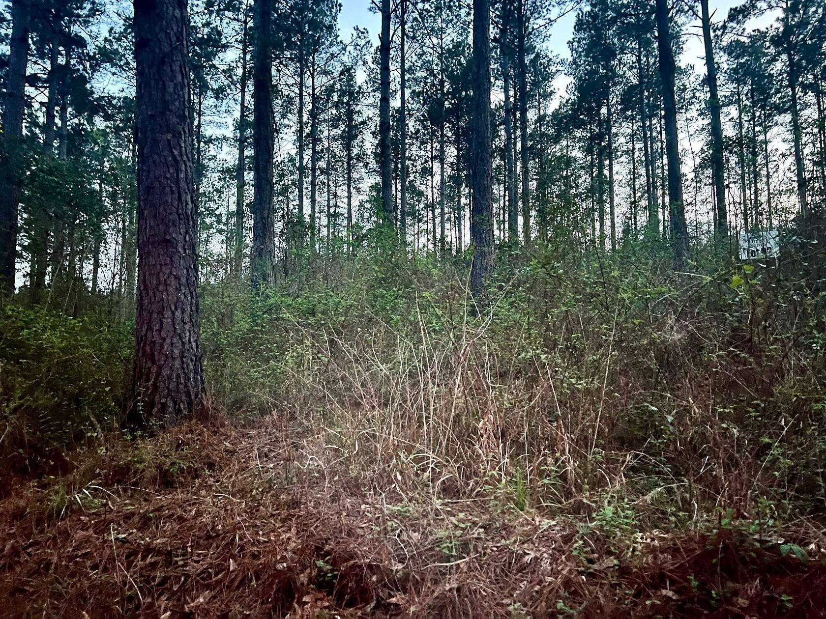 10 Acres of Recreational Land for Sale in Center, Texas