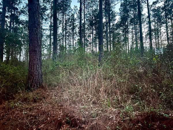 10 Acres of Recreational Land for Sale in Center, Texas