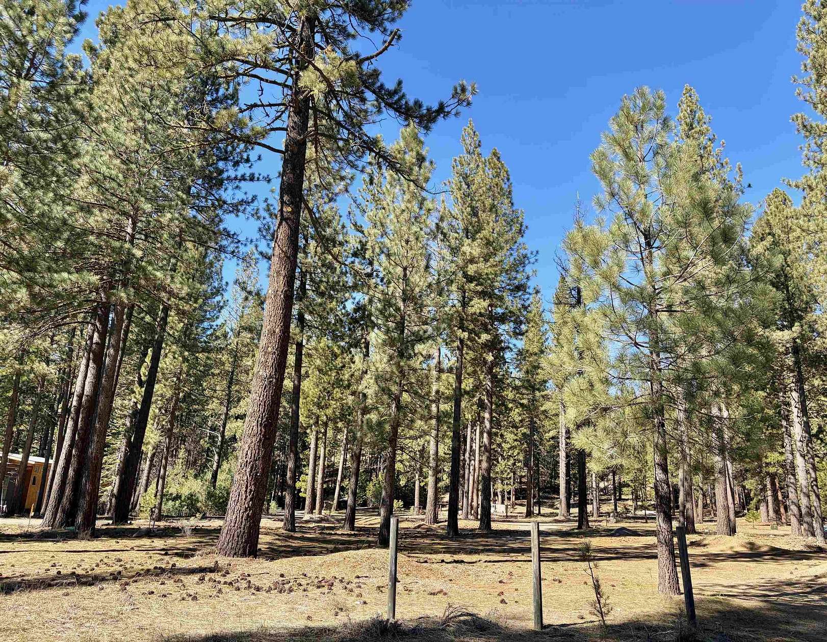 1.24 Acres of Residential Land for Sale in Clio, California