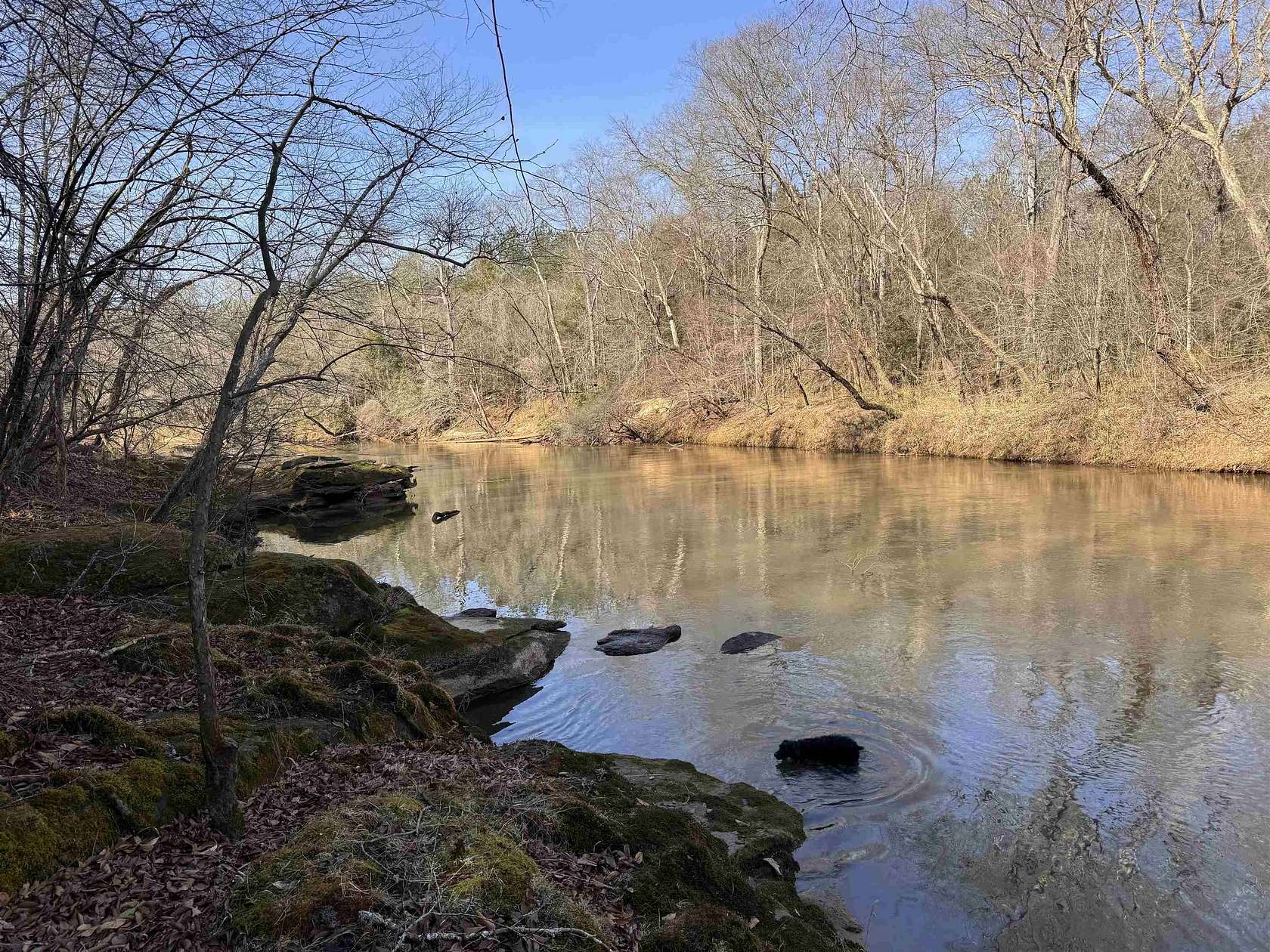 80.9 Acres of Recreational & Residential Land for Sale in Pauline, South Carolina