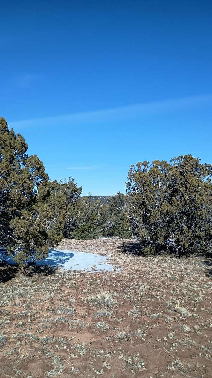 13.5 Acres of Land for Sale in Pie Town, New Mexico