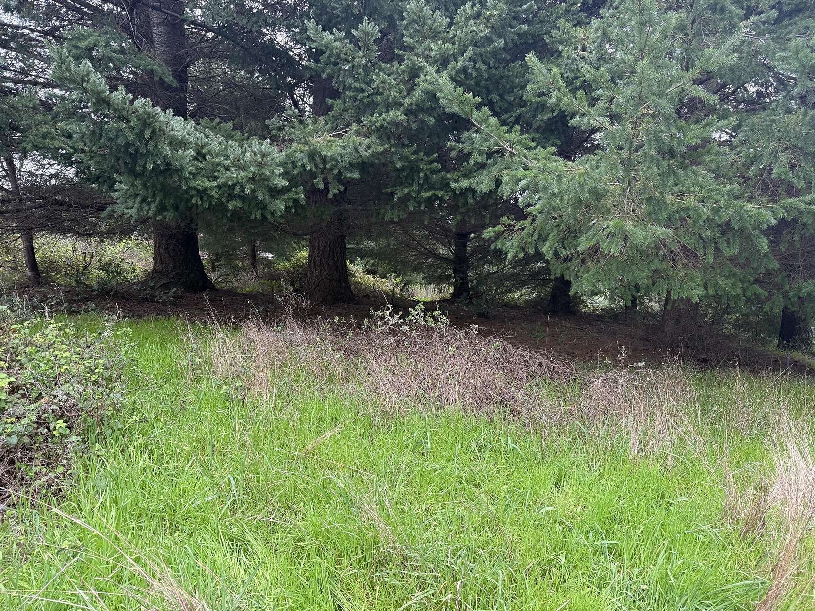 0.13 Acres of Residential Land for Sale in Shelter Cove, California