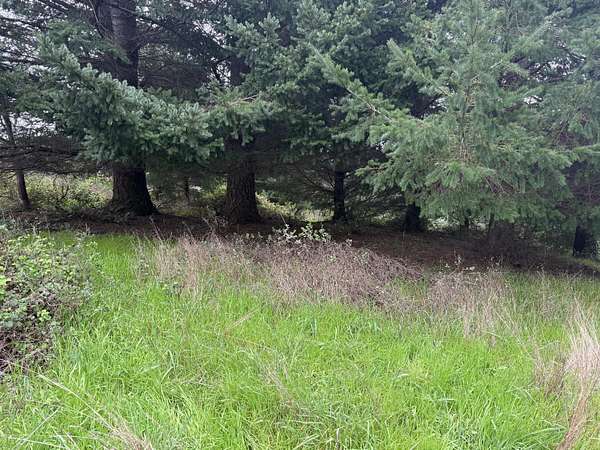 0.13 Acres of Residential Land for Sale in Shelter Cove, California