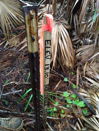 1.42 Acres of Residential Land for Sale in Eastpoint, Florida