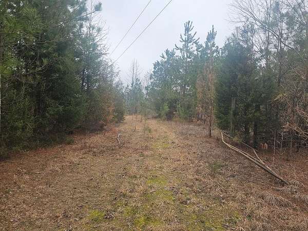 13.3 Acres of Land for Sale in Camden, Tennessee