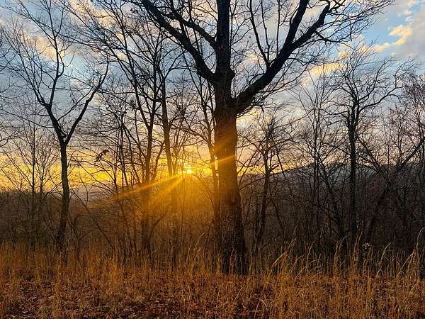 0.99 Acres of Land for Sale in Marble, North Carolina