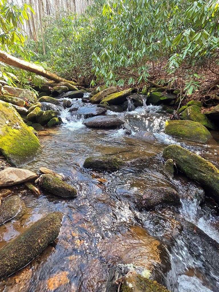 7.15 Acres of Residential Land for Sale in Robbinsville, North Carolina