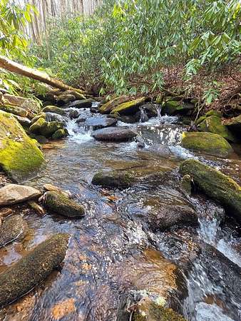 Residential Land for Sale in Robbinsville, North Carolina