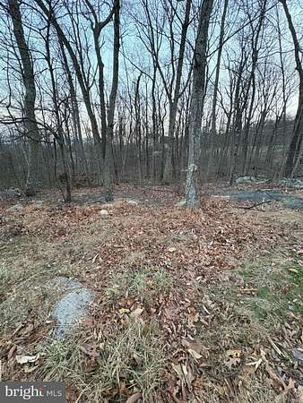 0.42 Acres of Land for Sale in Winchester, Virginia