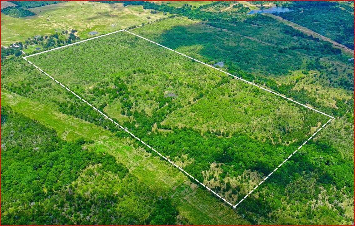 80.7 Acres of Land for Sale in Wortham, Texas