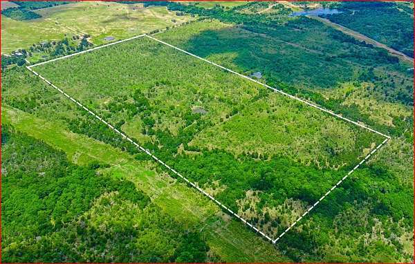 80.7 Acres of Land for Sale in Wortham, Texas