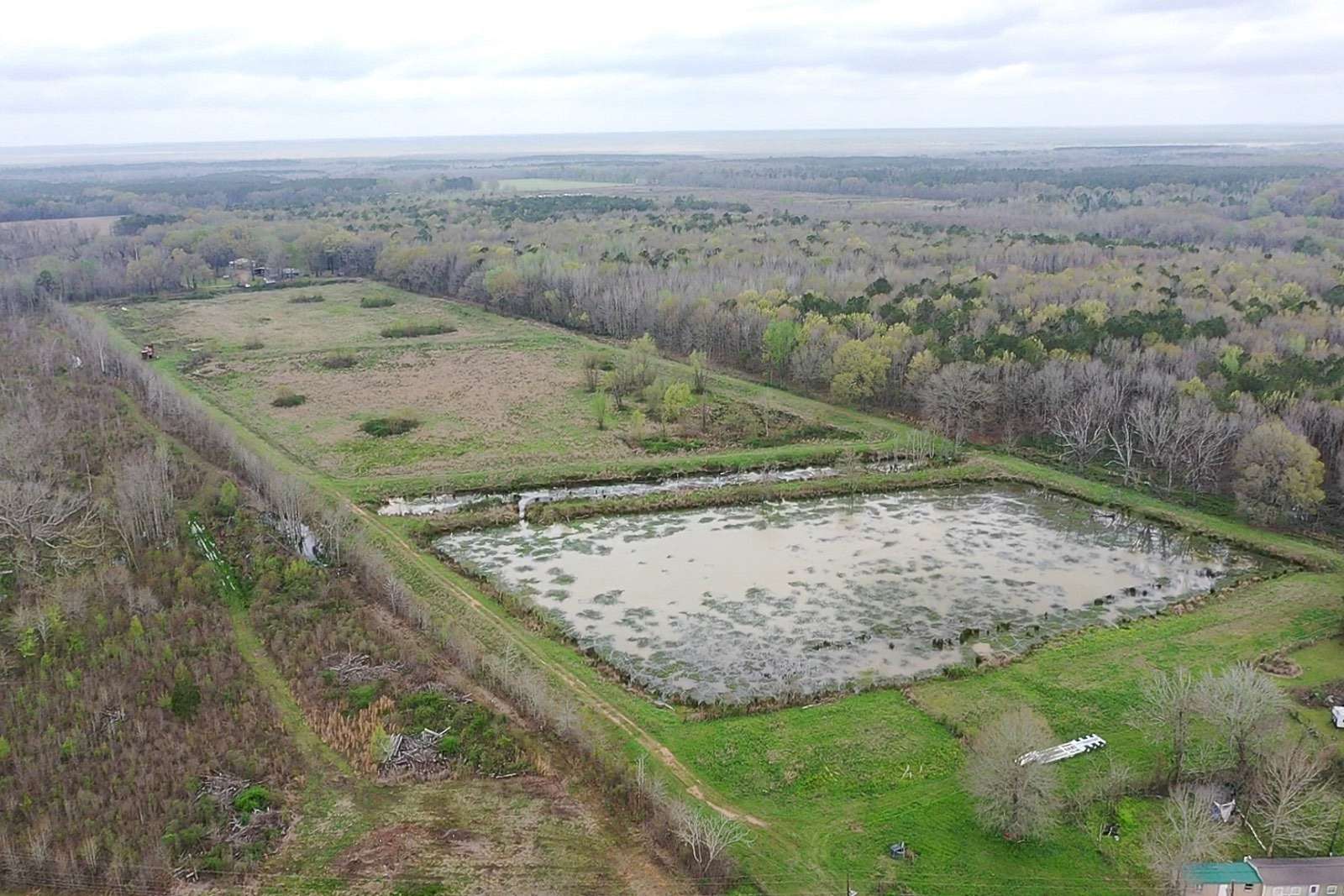 28 Acres of Recreational Land for Sale in Jonesville, Louisiana