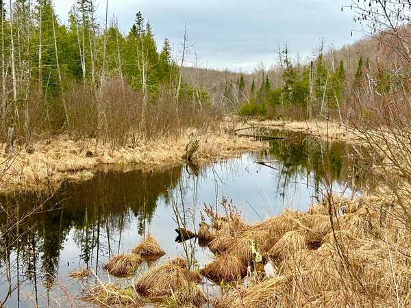 20 Acres of Recreational Land for Sale in Crandon, Wisconsin
